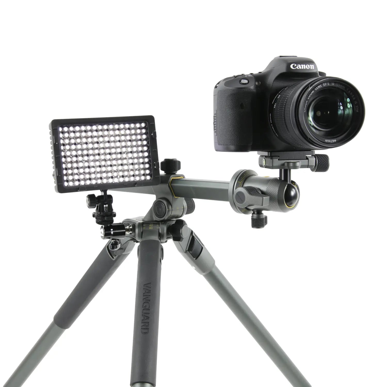 Vanguard Alta Pro 2+ 263AB 100 Tripod