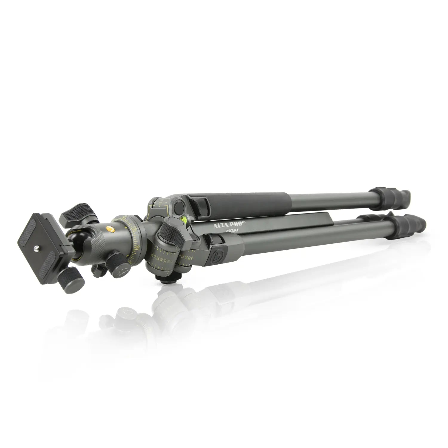 Vanguard Alta Pro 2+ 263AB 100 Tripod