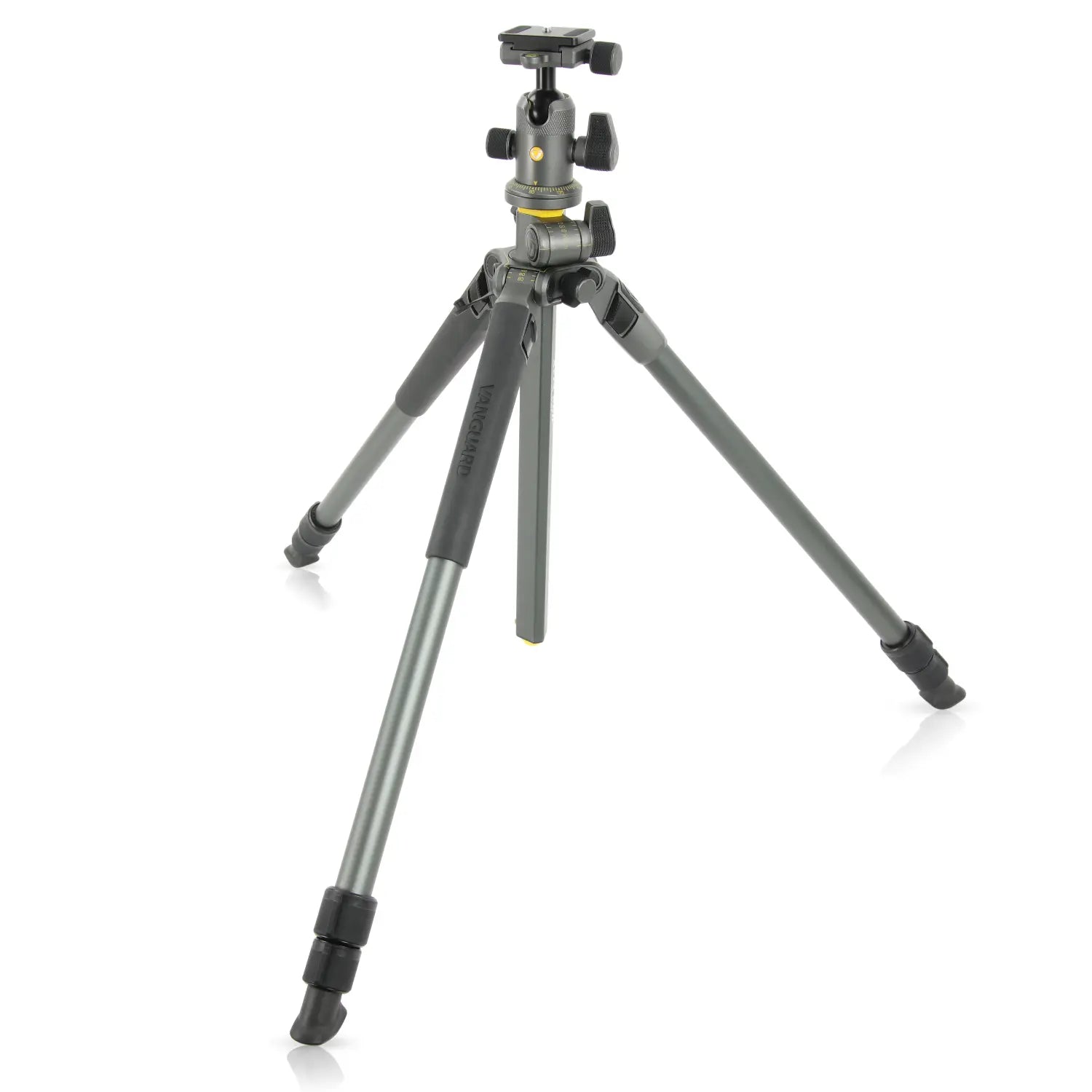 Vanguard Alta Pro 2+ 263AB 100 Tripod