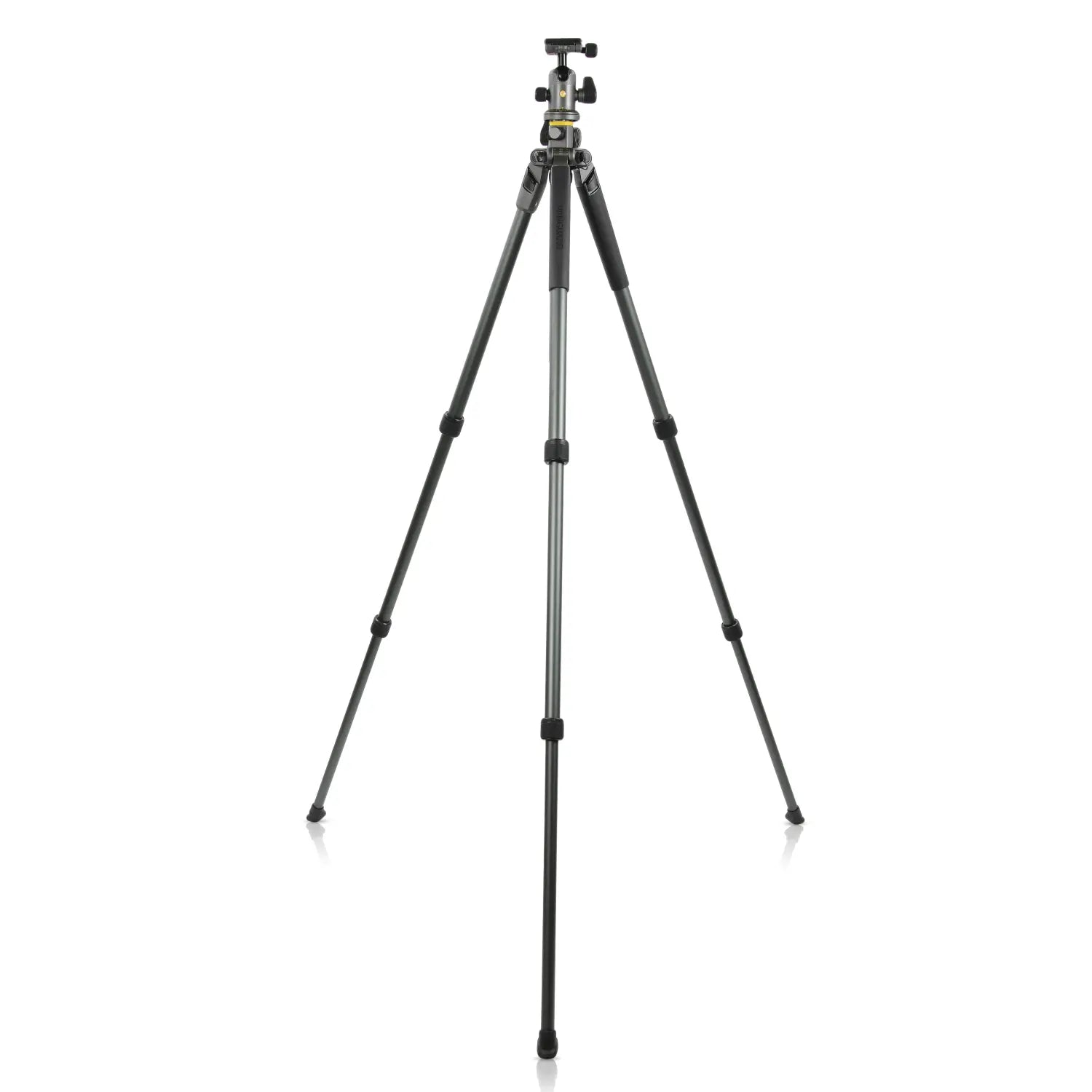 Vanguard Alta Pro 2+ 263AB 100 Tripod