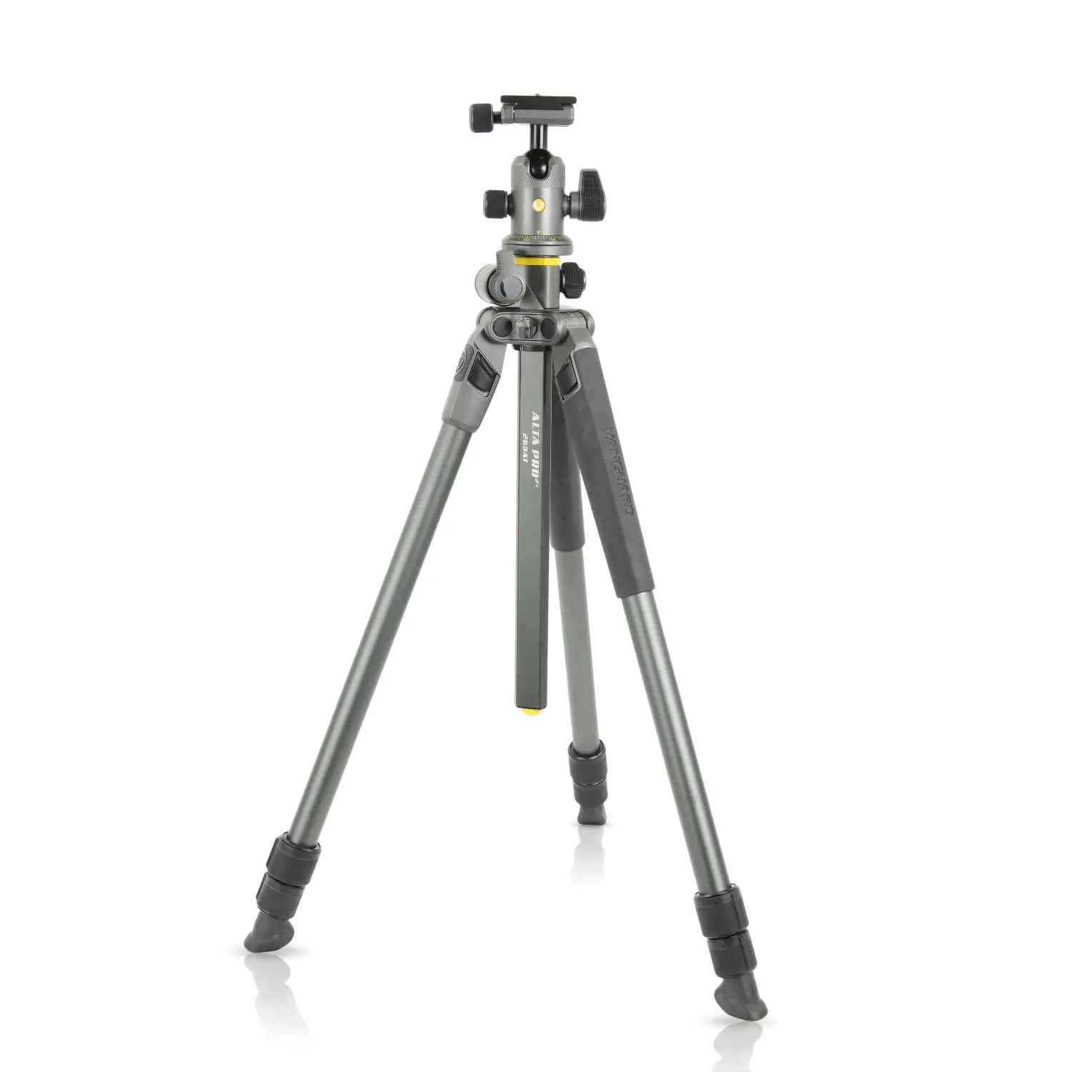 Vanguard Alta Pro 2+ 263AB 100 Tripod