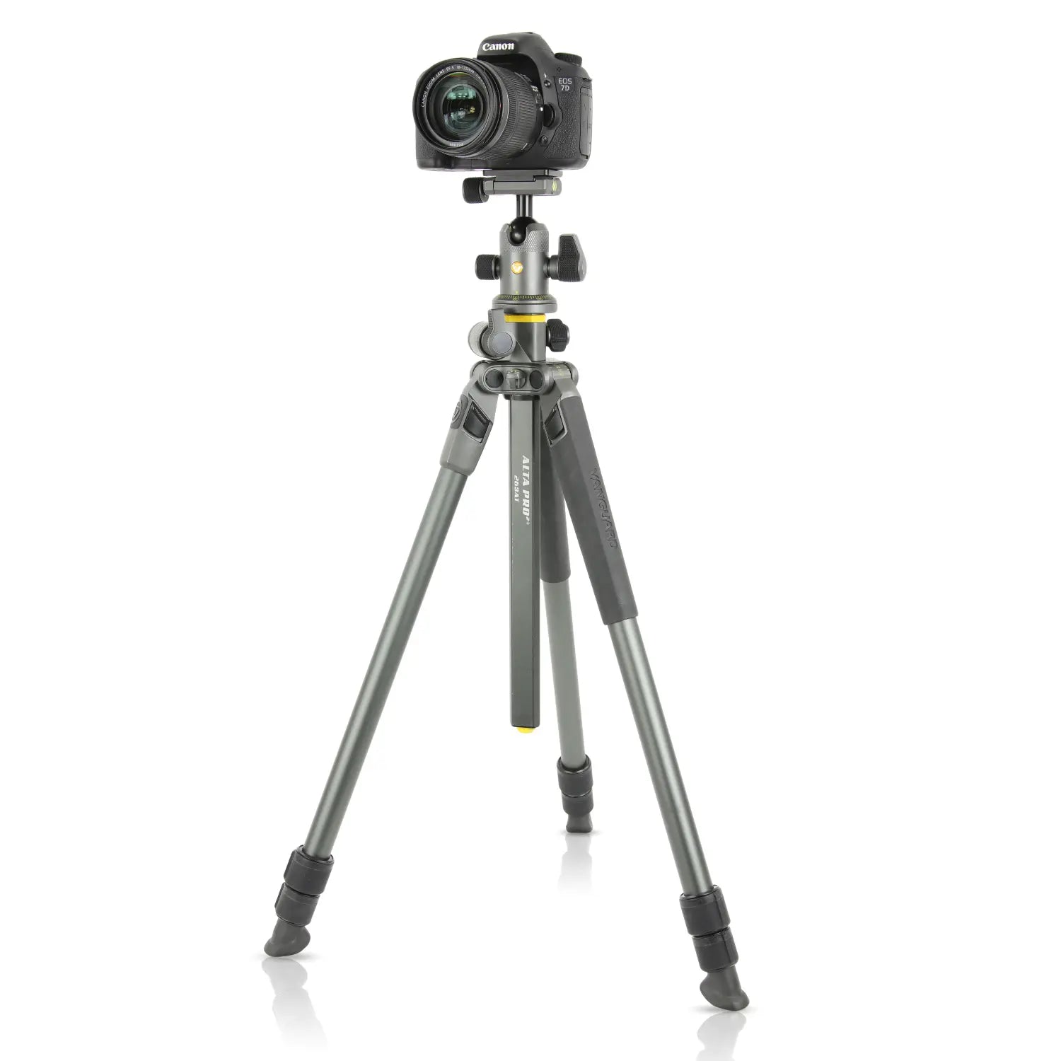 Vanguard Alta Pro 2+ 263AB 100 Tripod