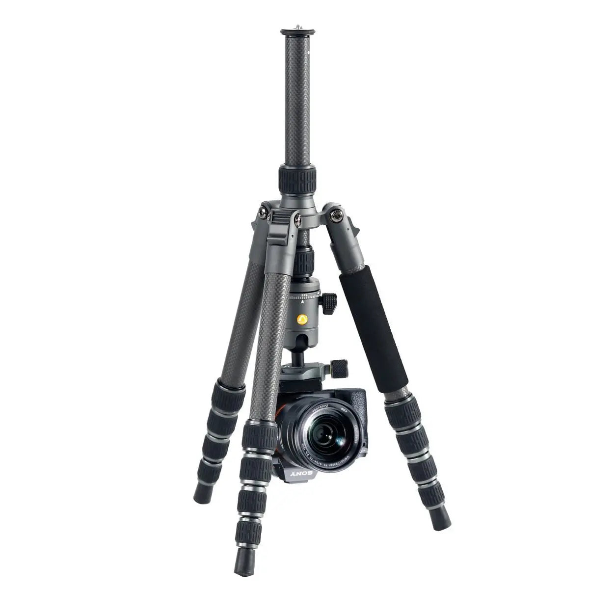 Camera tripod with camera on a white background