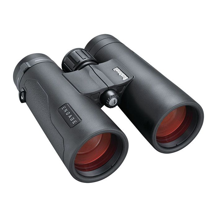 CLEARANCE Bushnell Engage EDX 8X42 Binoculars Black