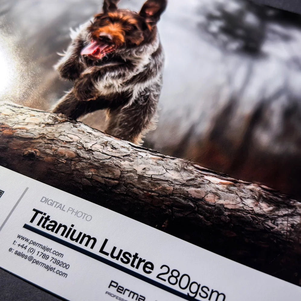 PermaJet Titanium Lustre Metallic 280 - A4 Photo Paper 25 sheets