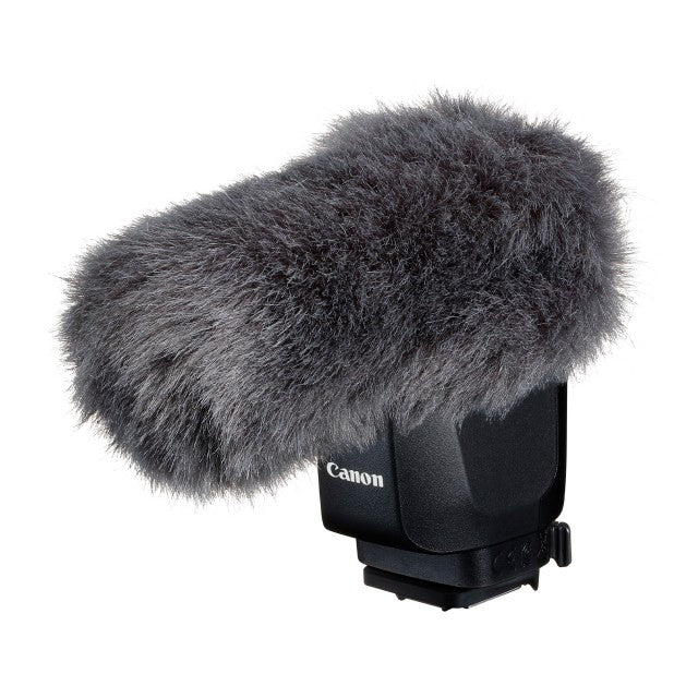 Canon DM-E1D Stereo Microphone - Product Photo 3 - Microphone sound buff example