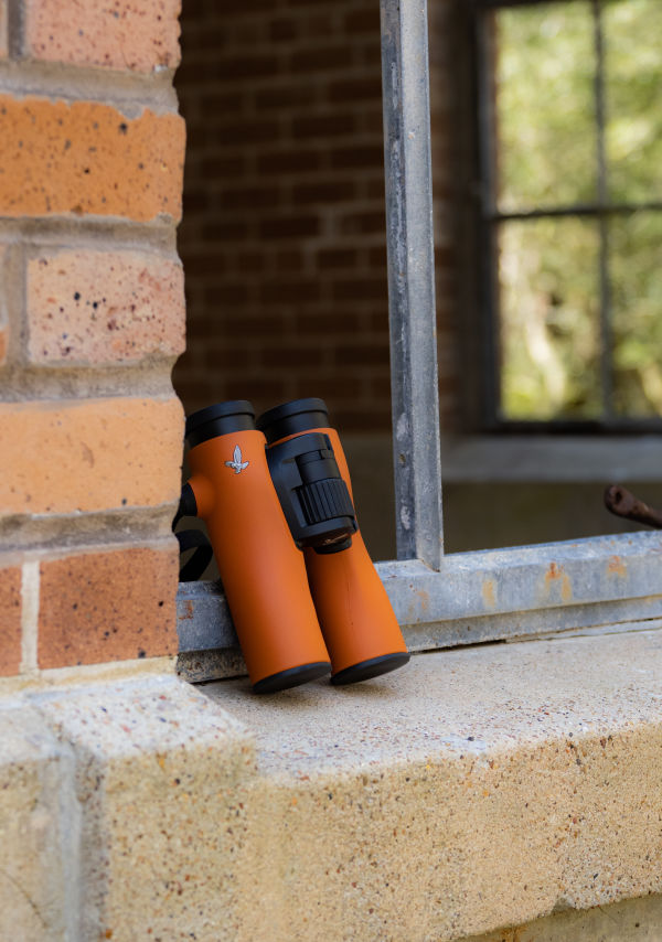 Swarovski NL Pure 10x32 Waterproof Binoculars - Burnt Orange - Product Photo 5 - Photo of the binoculars resting against a brick wall to show the size and scale