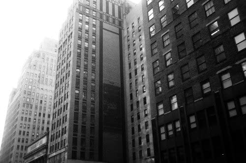 Fomapan 100 4x5 in Black & White Sheet Film FP102 50 sheet box 100 ISO