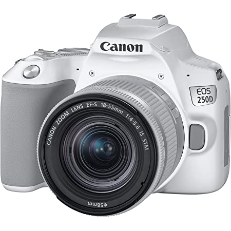 Canon EOS 250D Digital SLR Camera with 18-55mm IS STM Lens - Product Photo 3 - Side photo of the camera with lens attached