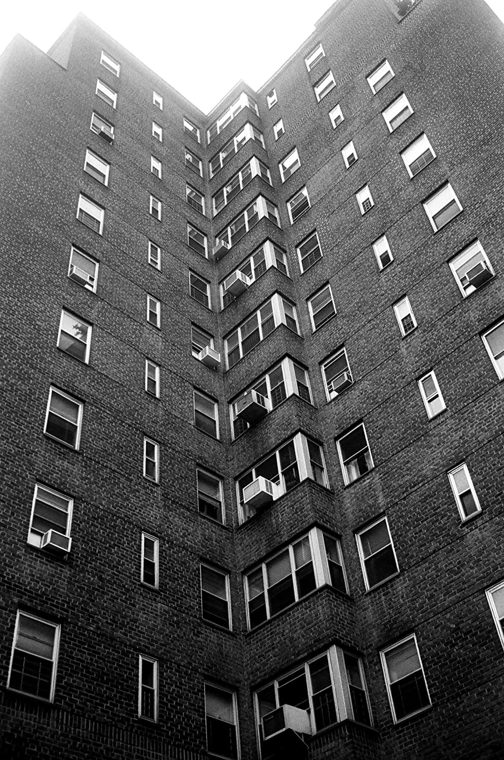 Fomapan 100 4x5 in Black & White Sheet Film FP102 50 sheet box 100 ISO