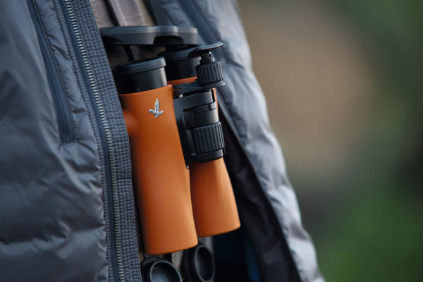 Swarovski NL Pure 8x32 Waterproof Binoculars - Burnt Orange - Product Photo 5 - Person wearing the binoculars