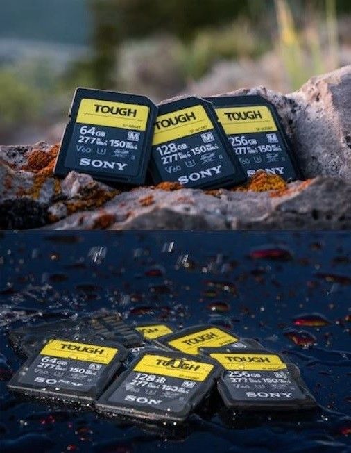 Sony 128GB SF-G Tough UHS-II SDXC Memory Card - 300MB/s UHS-II V90 8K - Product Photo 3 - Outdoor shot in the environment to showcase it's durability