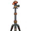 Product Image of 3 Legged Thing - Punks Brian 2.0 with AirHed Neo 2.0 Black Tripod