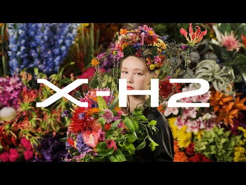 Fujifilm X-H2 Promo Video