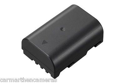 Panasonic DMW-BLF19 Battery