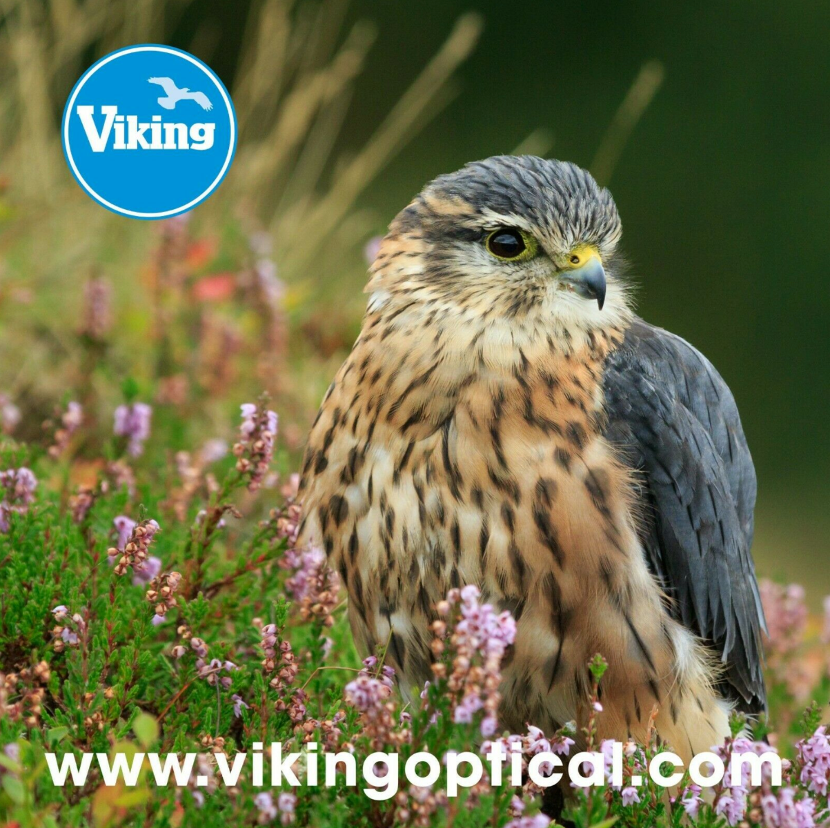 Product Image of Viking Optics 'Merlin' Micro Fibre Lens Cloth High Quality 24cm x 24cm