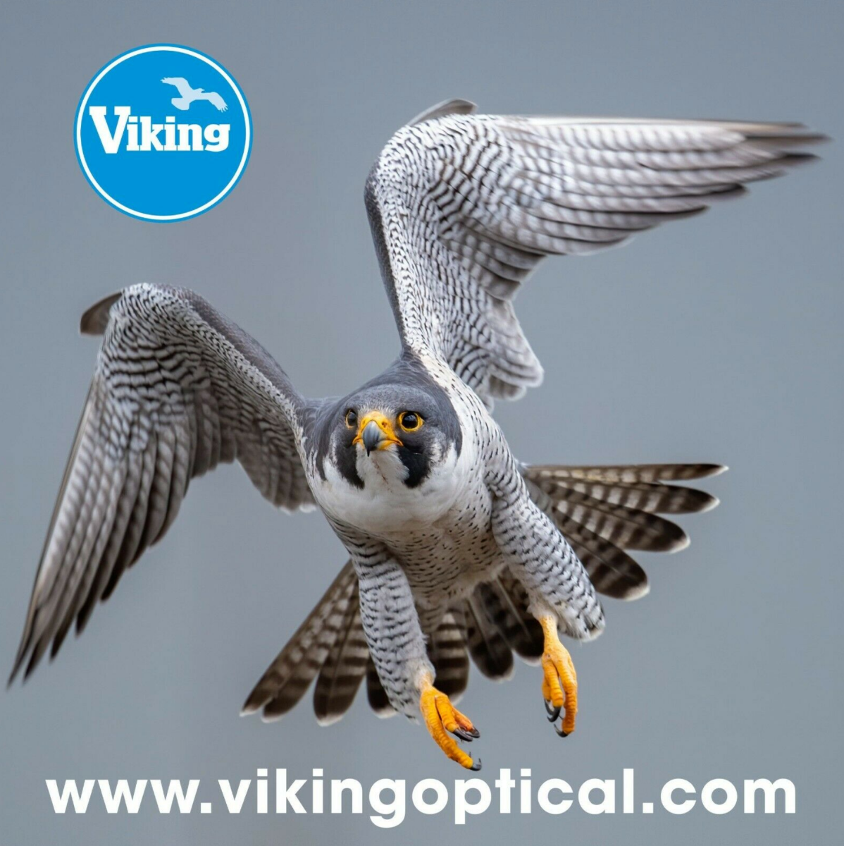 Product Image of Viking Optics 'Peregrine' Micro Fibre Lens Cloth High Quality 24 x 24cm (UK) NEW