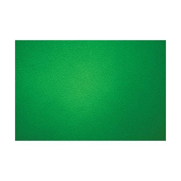 X-Drop Wrinkle-Resistant Sweep Backdrop Kit - Chroma-Key Green Screen (5' x 12')